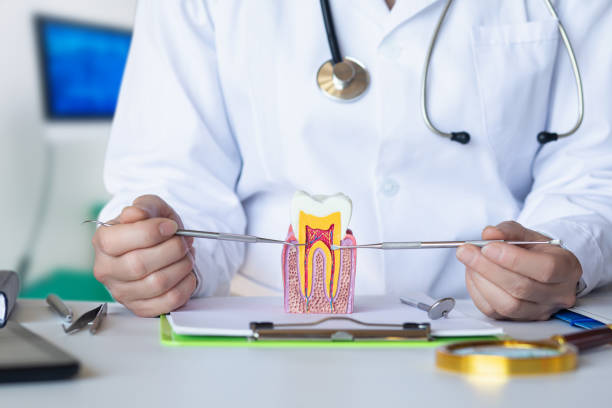 Best Emergency Tooth Extraction in Hamilton, MO